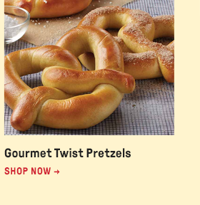 Gourmet Twist Pretzels