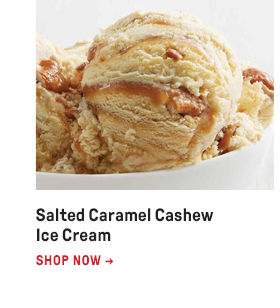 Salted Caramel Cashew Ice Cream