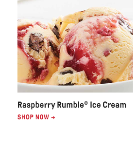 Raspberry Rumble® Ice Cream