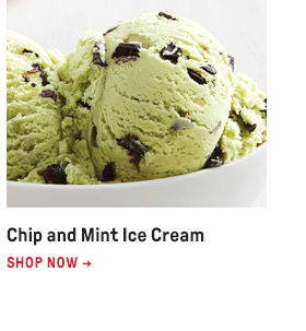 Chip and Mint Ice Cream