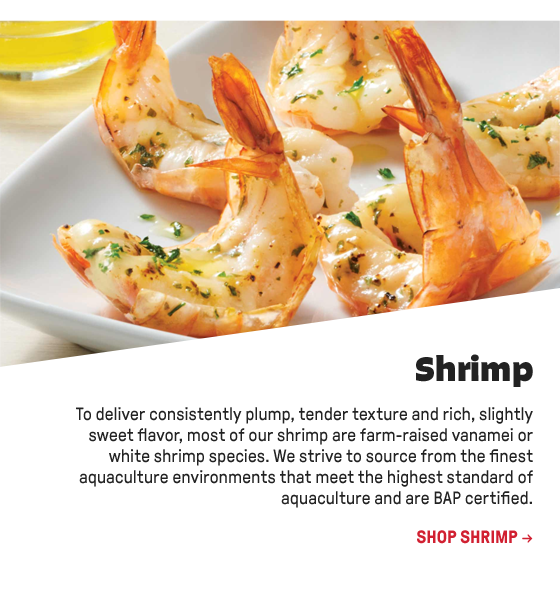 Shrimp